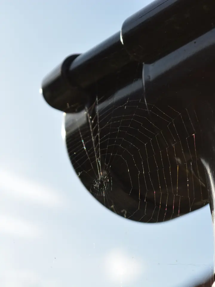 Black downpipe outlet at the end of a gutter run